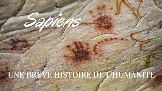 Sapiens  une brève histoire de lhumanité résumé [upl. by Gwenny]