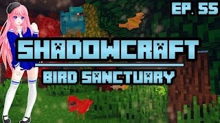 Bird Sanctuary  ShadowCraft  Ep 55 [upl. by Leinoto]