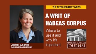 Writ of habeas corpus What it is and when to use it [upl. by Nevla513]