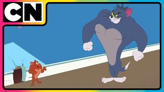 Tom amp Jerry 😺🐭 Just Cat amp Mouse Things  tomandjerry  Funny Cartoons  cnindia [upl. by Hgiel135]