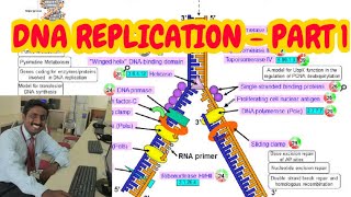 DNA REPLICATION IN PROKARYOTES  PART 1  TAMIL EXPLANATION [upl. by Kristof]