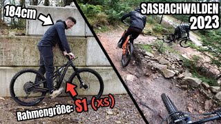 MTB Trail Sasbachwalden 2023 🚲 Ich teste ein VIEL ZU KLEINES Bike  Specialized SGrößen erklärt [upl. by Wahs]