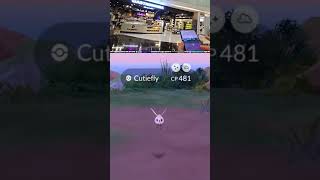 Shiny Cutiefly 🪰💕  opaldust on Twitch [upl. by Ngo]