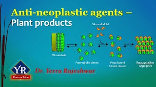 Antineoplastic agents  Plant products  Etoposide  Vinblastine  Vincristine  YR Pharma Tube [upl. by Whitnell]