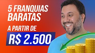 5 Franquias Baratas E LUCRATIVAS para 2024  MICROFRANQUIAS para faturar até R 60000 por mês [upl. by Procter]