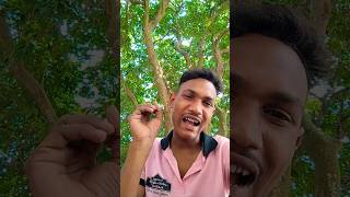 Mayak thorhi h 🤣🤣🤣 youtubeshorts comedy realfools funny viralvideo sorts [upl. by Albur905]