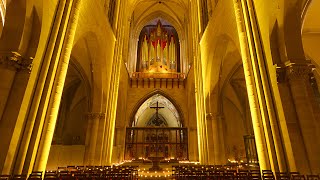 Magdeburger Dom Mayday 2015  Woody  Auferstanden aus Ruinen Nationalhymne ExDDR [upl. by Nesilla]