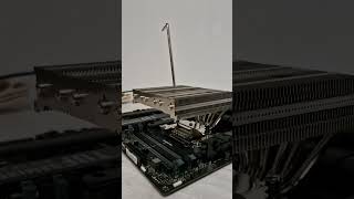 Noctua NHL12Sx77  CPU Cooler  Noctua [upl. by Odlawso]