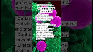 Antibiotics that treat MRSA [upl. by Edmead]