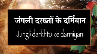 जंगली दरख्तों के दर्मियान Jungli darkhto ke darmiyan [upl. by Oluap]