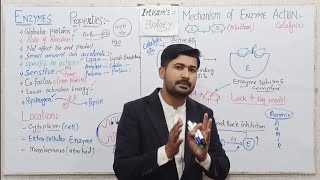 32 Properties of enzymes  Mechanism of Enzyme Action  Fsc Biology class 11 [upl. by Oswin297]