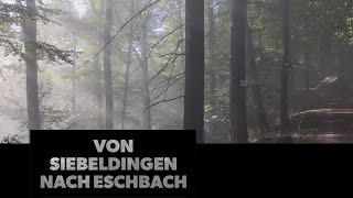 Herbstwanderung von Siebeldingen nach Eschbach [upl. by Ardnohsal]