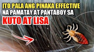 ITO PALA ANG PINAKA EPEKTIBONG PAMATAY AT PANTABOY KUTO AT LISA [upl. by Euqinomahs]