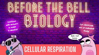 Cellular Respiration Before the Bell Biology [upl. by Amilah]