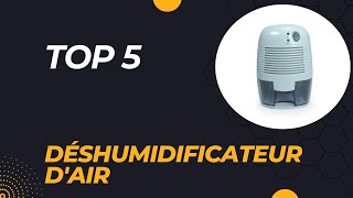 Top 5 Meilleur Déshumidificateur dAir 2024  Guide dAchat [upl. by Nosiram]