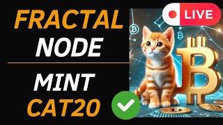 FRACTAL BITCOIN NODE Y MINT CAT20 TOKENS [upl. by Jon423]