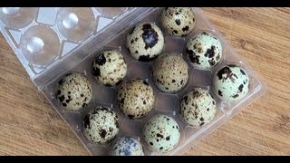 Pelar huevos duros fácilmente Vídeo consejo 7 Aquí cocinamos todos Cooking recipe [upl. by Springer95]