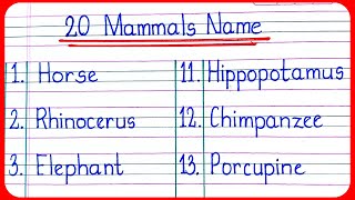 20 Mammal names  learn all about mammals  mammal names in english  English vocabulary [upl. by Adnamal]