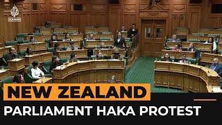 Maori politicians disrupt New Zealand parliament vote with haka  AJshorts [upl. by Cordelie]