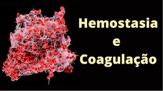 Coagulação sanguínea e hemostasia  Fisiologia Humana [upl. by Eelaroc]