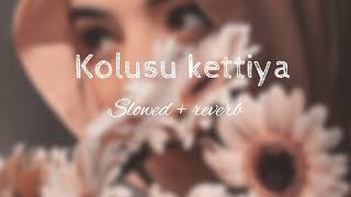 Kolusu kettiya slowed and reverbmappilasongs [upl. by Felicdad]