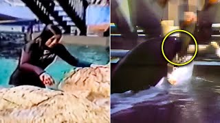 The Tragic Killer Whale Attack On Tamarie Tollison Actual Footage [upl. by Arie]