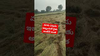 Subscribebhakthipolamkoulu rythurythu biddavillagenatureorganic farming garikapati garu [upl. by Yssak]