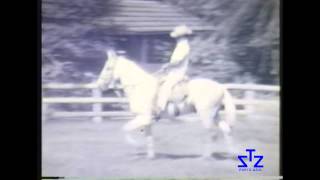 Visita a Fazenda da Herdade 1978  Haras Porto Azul  Mangalarga Marchador [upl. by Dorkus199]