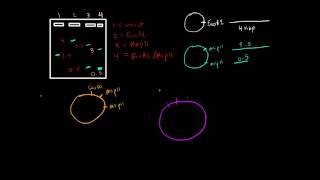 Restriction Enzyme Mapping of DNA [upl. by Notnirt]