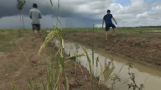 Fishing  កង្កែបច្រើនណាស់ ចាប់អត់បាន [upl. by Zeena]