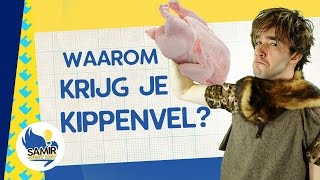 Waarom krijg je kippenvel  Samir weet het [upl. by Ydroj]