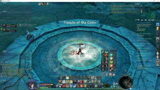 Aion 50 Spiritmaster Solo  Danuar Sanctuary for Ancient Coins [upl. by Colson]