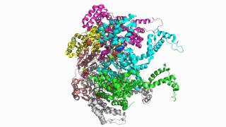 HslU Hexamer 1Do0 [upl. by Ocer329]