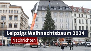 Weihnachtsbaum 2024 Leipziger Markt erstrahlt bald in festlichem Glanz 🎄✨  LZ TV Nachrichten [upl. by Retnyw361]