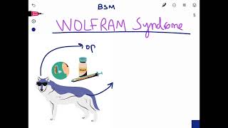 Wolfram Syndrome Mnemonic PLABUSMLEMCCQEMSRA [upl. by Yeknarf643]