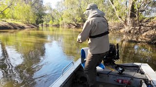 Absolute quotCodfestquot 2022 Murray cod bait fishing from a boat with cheese and worms [upl. by Varini]