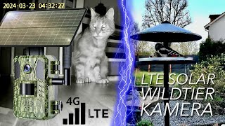 XTU 4G LTE Wildtierkamera mit 25K Auflösung amp Solarpanel im Real World Garten Test  INTERESSANT [upl. by Acinorrev]