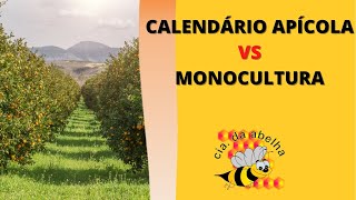 Como funciona o Calendário Apícola com um pasto apícola de Monocultura [upl. by Aissatan]