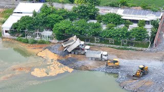 Amazing Project An New SHANTUI Dozer Pushing Skill Filling The Lake With 25T Dump Trucks [upl. by Epps]