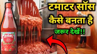 फैक्ट्री में टमाटर कैचप सॉस कैसे बनता हैं  How tomato ketchup is made   by VitalGyan [upl. by Kirstyn]