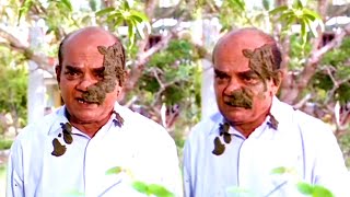 ശങ്കരാടിച്ചേട്ടന്റെ കിളിപറത്തിയ കോമഡി  Sankaradi  Malayalam Comedy Scenes [upl. by Eissert610]