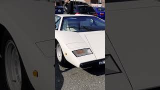 Some Classic Supercars at Tokyo Sunday Meet lamborghini [upl. by Jadd]