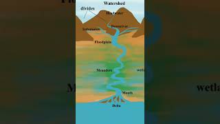 Tributary and distributary geography explore [upl. by Ramunni483]