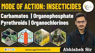 Mode of Action Insecticides  Carbamates  Organophosphate  Pyrethroids  Organochlorines [upl. by Meeker496]