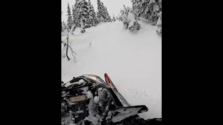 Early season snowmobiling stump roulette [upl. by Ylatan606]