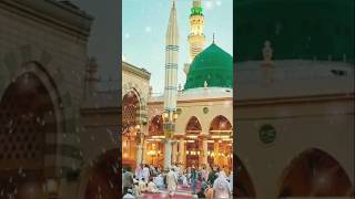 Ankhon Ka Tara Naam e muhammadﷺ trending shortvideo aankhonkatara newnaat nabimuhammad [upl. by Florella681]