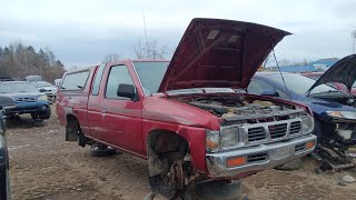 1997 Nissan Hardbody D21 in the Junkyard [upl. by Anaili40]