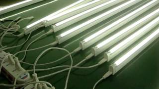 LED T5 Tube Light [upl. by Ralip]