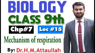 Mechanism of respiration  Bioenergetics  Chapter 7  9th class Biology  Lec 15 [upl. by Syd]