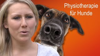 Physiotherapie für Hunde  Praxis Pfote [upl. by Beverlie]